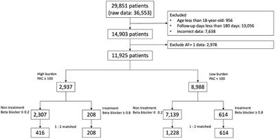 The Beneficial Effects of Beta Blockers on the Long-Term Prognosis of Patients With Premature Atrial Complexes